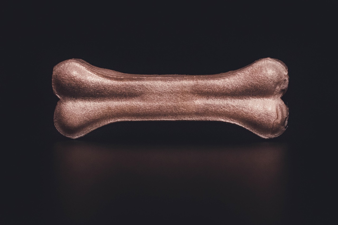 dog bone, bone, icon, dog food, dog reward, feeding, nutrition, isolated, dog bone, dog bone, dog bone, dog bone, dog bone